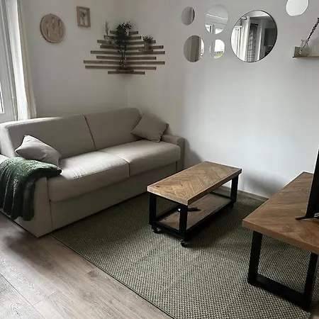Studio « noix » *