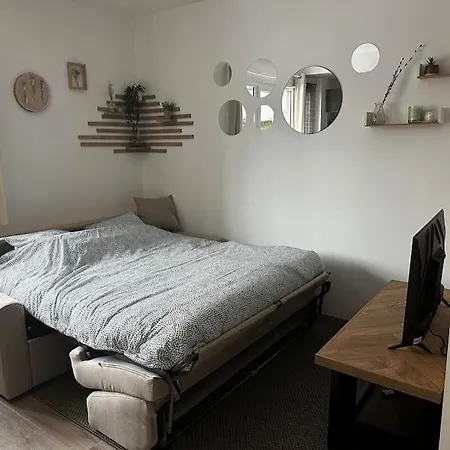 Studio « noix » * Гренобль